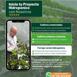 Producto prueba