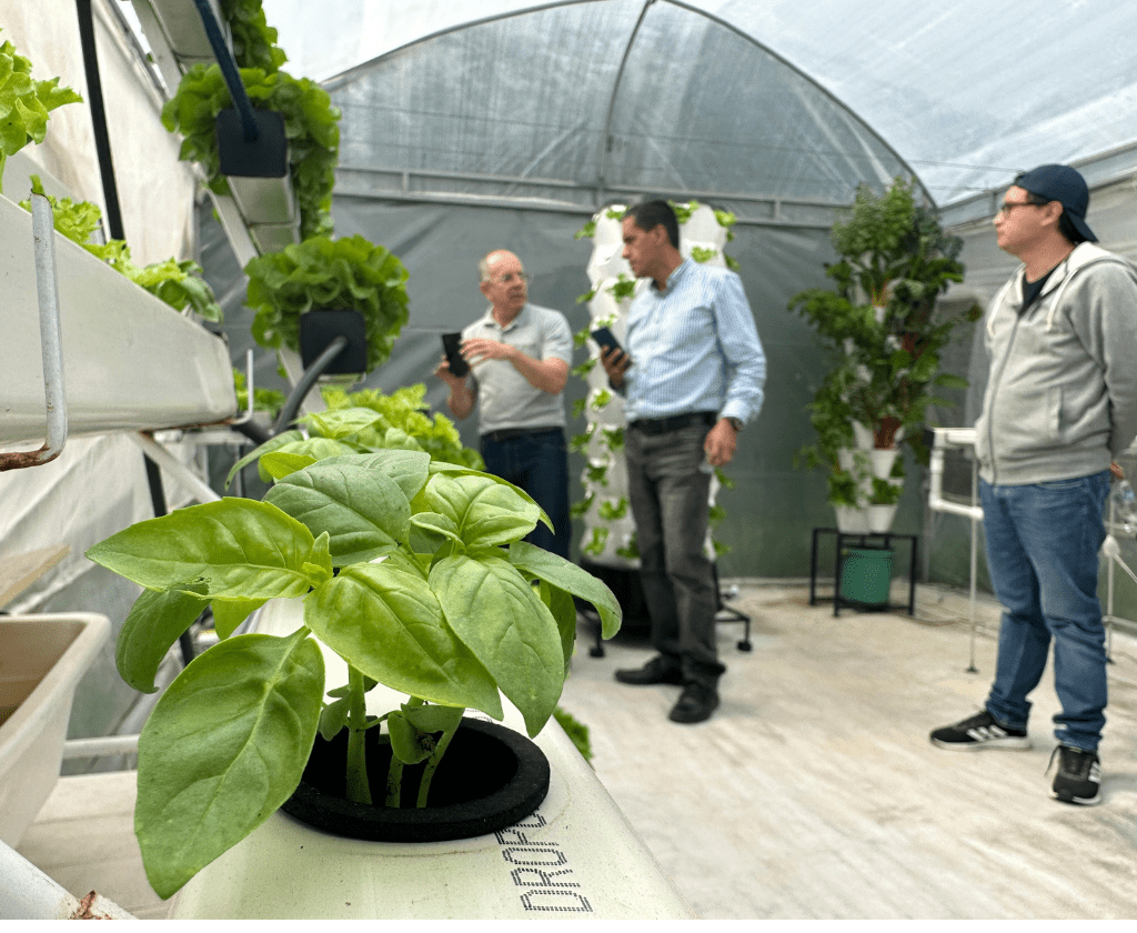 cursos-de-hidroponia-en-bojaca-colombia-5