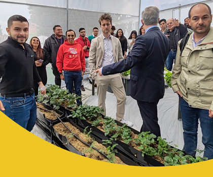 proyectos-agricolas-hidroponicos-para-fundaciones-y-empresas-en-bogota-colombia-8